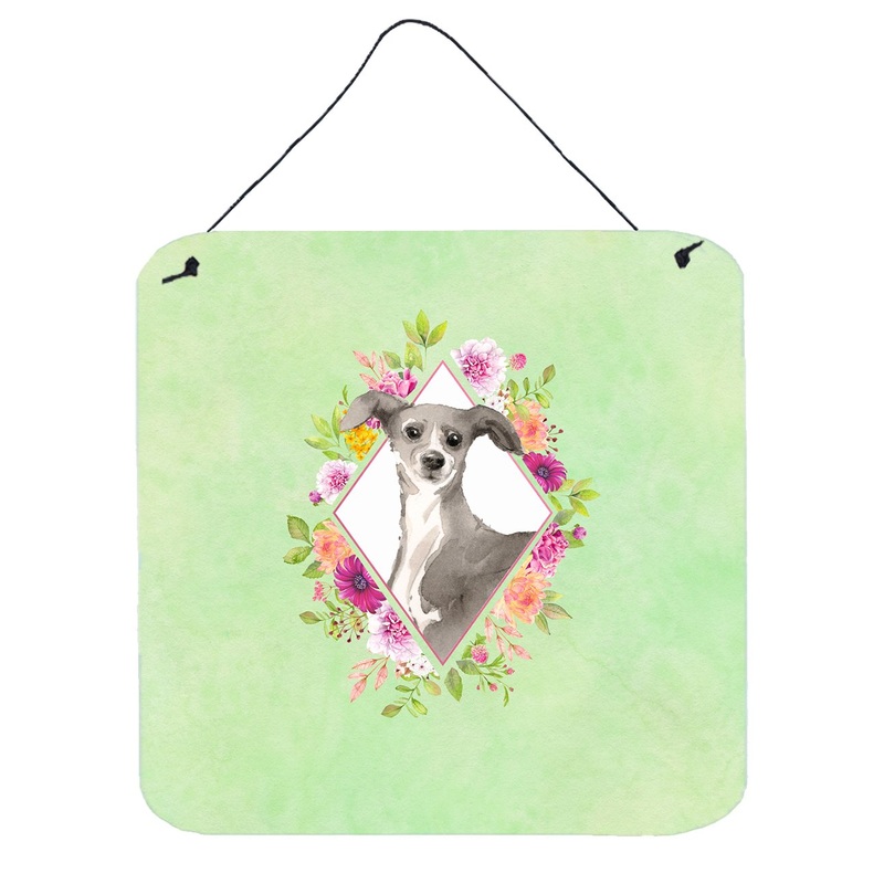 Italian Greyhound Green Flowers Wall or Door Hanging Prints CK4390DS66